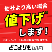 どこよりもWiFiのポイント対象リンク