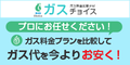 祤ʳWiz