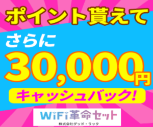 WiFi革命セット公式サイト