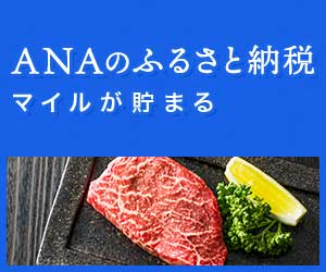 【定率】ANAのふるさと納税