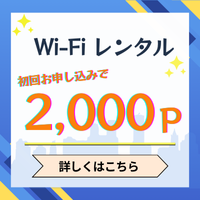 Wi-Fi[^[̃^ȂyNETAGEz