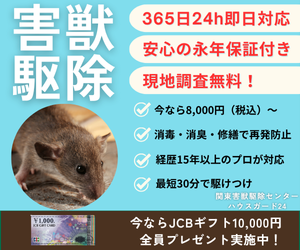 関東害獣駆除センター【ハウスガード24】
