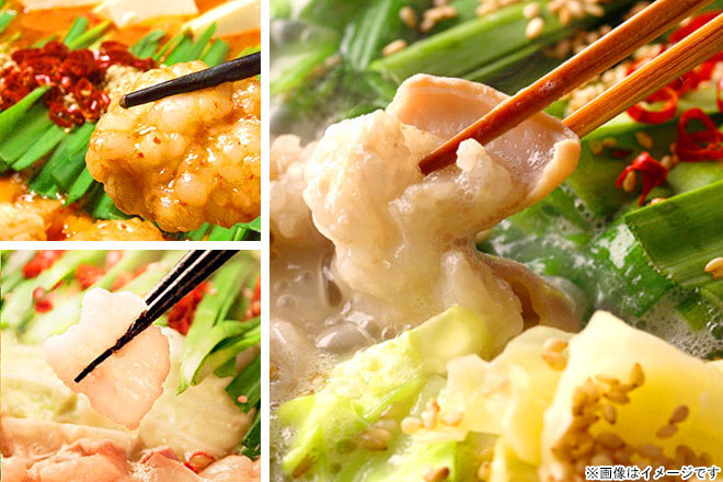 【くまポン byGMO】ぷりぷりのもつがたっぷり300g「3種類から選べるもつ鍋セット 4人前」