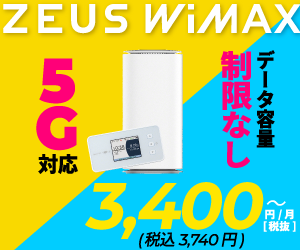 ZEUS WiMAX