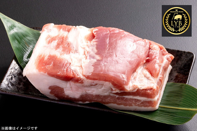 【くまポン byGMO】国産最高級ブランド豚 ルイビ豚/LYB PREMIUMステーキ もも200g 2セット