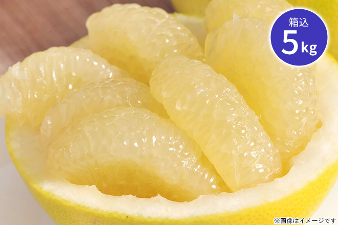 【くまポン byGMO】【予約販売・訳あり】パール柑箱込5kg