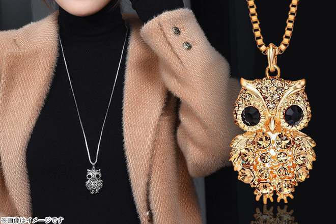 【くまポン byGMO】知恵と幸運を呼び込む！ 「フクロウモチーフ ロングネックレス K18金RGP」